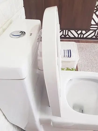 Vaso Sanitário Monobloco R250 - Image 2